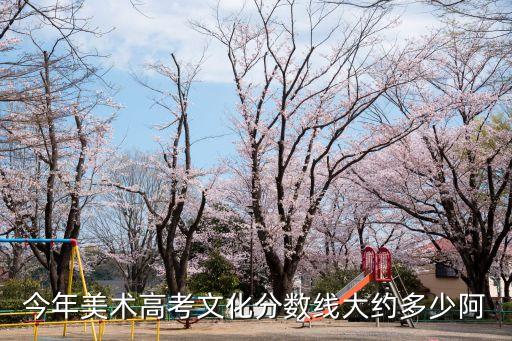 美術(shù)藝考分?jǐn)?shù)線，你知不知道藝術(shù)類美術(shù)的分?jǐn)?shù)線多少了