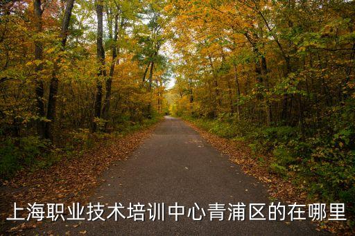 上海職業(yè)技術(shù)培訓(xùn)中心青浦區(qū)的在哪里