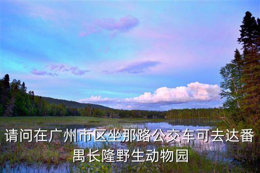 廣州南方新村，廣州836公車