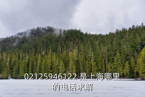 02125946122 是上海哪里的電話求解