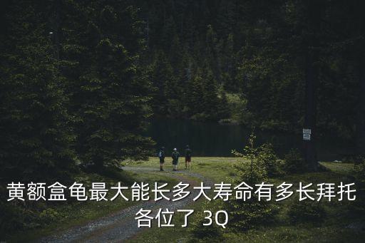 黃額盒龜最大能長多大壽命有多長拜托各位了 3Q