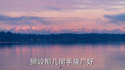 廣州花都獅嶺手袋廠哪家好，獅嶺那幾間手袋廠好