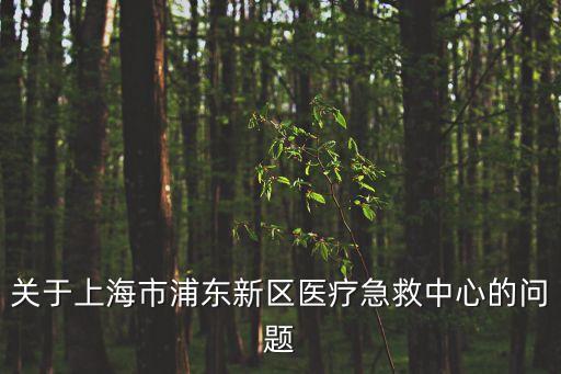 關(guān)于上海市浦東新區(qū)醫(yī)療急救中心的問(wèn)題