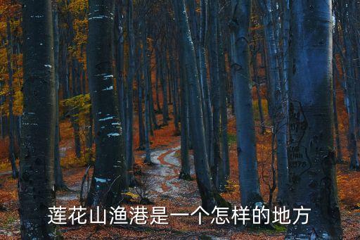 廣州蓮花山港百科，蓮花山漁港是一個(gè)怎樣的地方