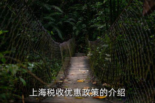 上海市附加稅減免政策，上海稅收優惠政策的介紹