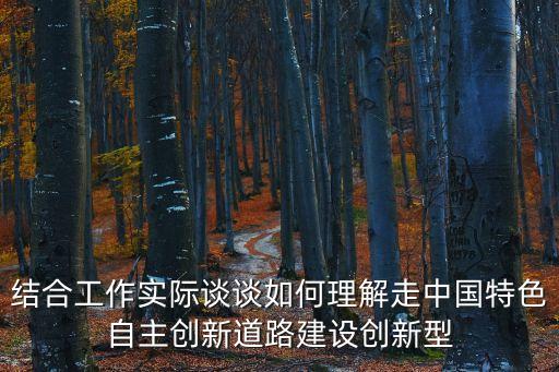 結合工作實際談談如何理解走中國特色自主創新道路建設創新型