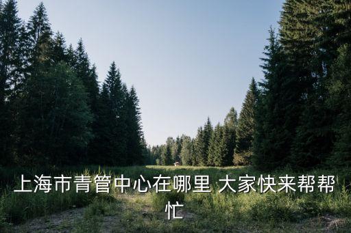 上海市青訓中心，上海市青管中心在哪里 大家快來幫幫忙