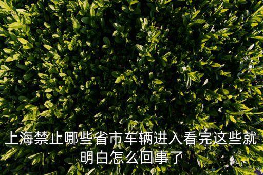 上海市無環保標志不能進，外地車沒有環保標志是不是進不了上海
