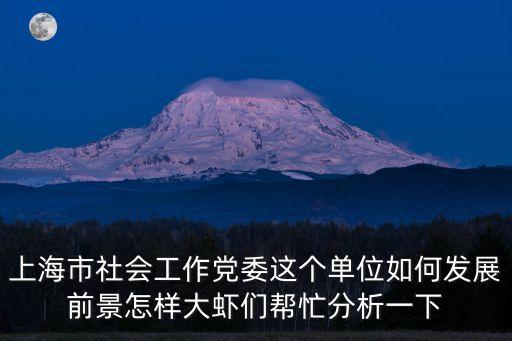 上海市社會工作黨委這個單位如何發展前景怎樣大蝦們幫忙分析一下