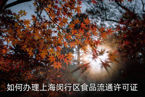 上海市閔行區食藥監，上海閔行食品健康證在哪辦