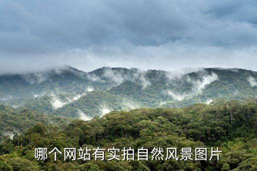 哪個(gè)網(wǎng)站有實(shí)拍自然風(fēng)景圖片