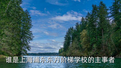 上海市東方幼兒園三年發展規劃，誰是上海浦東東方階梯學校的主事者