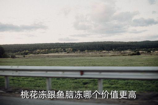 魚腦凍，是壽山石魚腦凍嗎如是應多少錢 謝謝