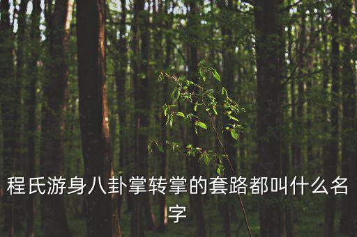 程式八卦掌，程氏游身八卦掌轉(zhuǎn)掌的套路都叫什么名字