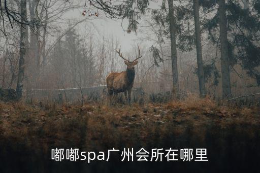 嘟嘟spa廣州會所在哪里