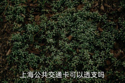 上海市公共交通分擔率，上海公共交通卡可以透支嗎