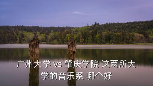 廣州大學(xué) vs 肇慶學(xué)院 這兩所大學(xué)的音樂系 哪個(gè)好