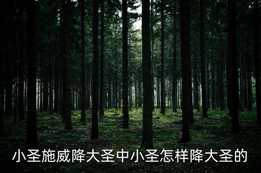 小圣施威降大圣中小圣怎樣降大圣的