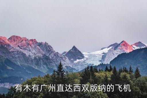 有木有廣州直達(dá)西雙版納的飛機(jī)