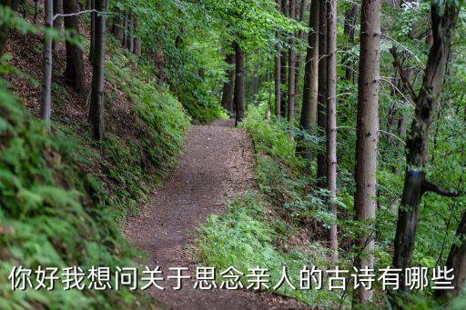 思念家人的詩(shī)句，表達(dá)思念家人的詩(shī)句多一些