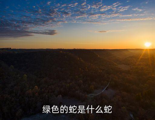 綠蛇，有一種全身是綠色的蛇這種蛇叫什么