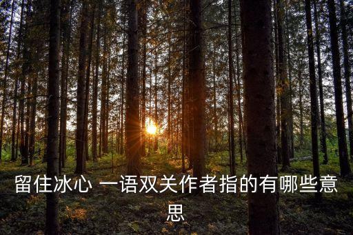 留住冰心 一語雙關作者指的有哪些意思