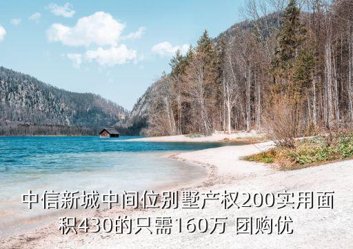 中信新城中間位別墅產權200實用面積430的只需160萬 團購優