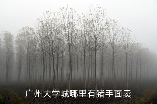 廣州大學(xué)城哪里有豬手面賣
