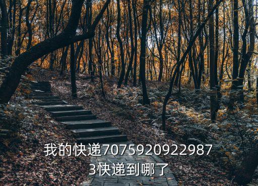 我的快遞70759209229873快遞到哪了