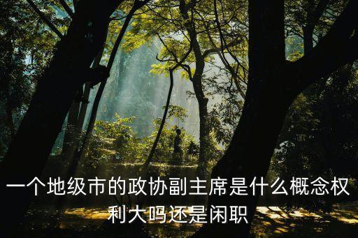 一個(gè)地級(jí)市的政協(xié)副主席是什么概念權(quán)利大嗎還是閑職