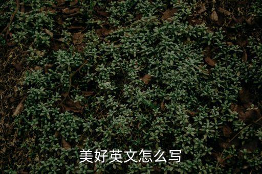 美好英語，用英語翻譯美好