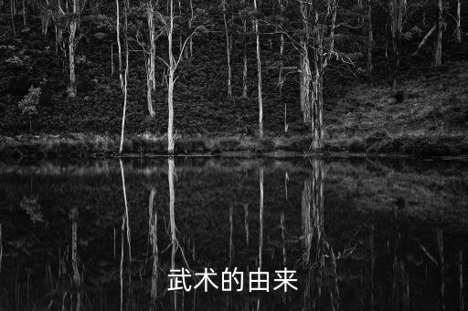 武術(shù)的起源，武術(shù)的產(chǎn)生源于什么
