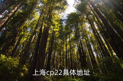 上海市政協(xié)地址與地鐵，上海市婦聯(lián)協(xié)會的地址地鐵怎么到
