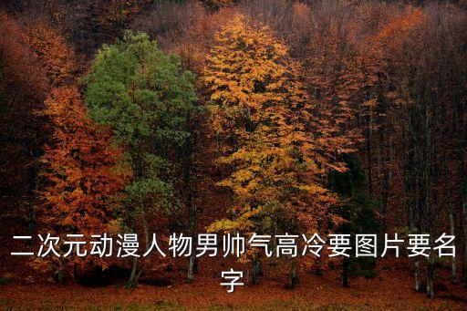 動漫頭像男生冷酷，要男的動漫頭像越酷的越好眼睛發光的