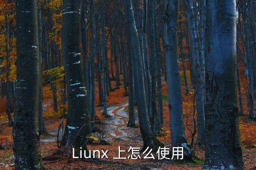 liunx，Liunx操作系統