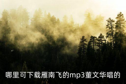 雁南飛廣州完整版，楚雁南飛 暫昔廣州 琴詩(shī)書畫 盡在腦中 心似浮云 自由如楓 身若浮萍 浪