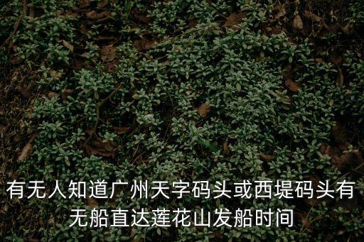 有無人知道廣州天字碼頭或西堤碼頭有無船直達蓮花山發船時間