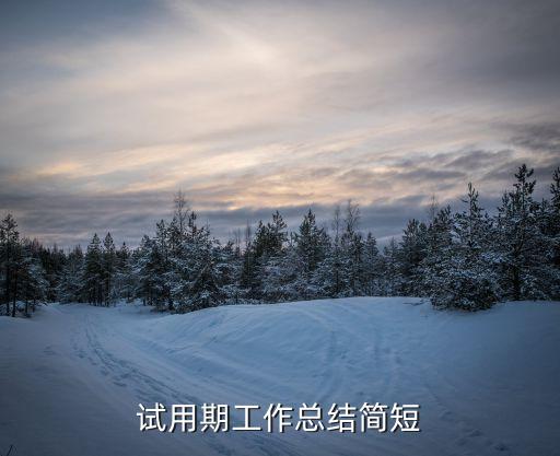 員工試用期總結，試用期總結