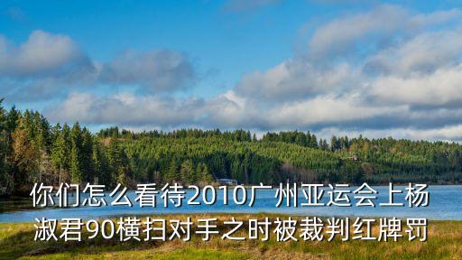廣州拳擊裁判員，你們怎么看待2010廣州亞運會上楊淑君90橫掃對手之時被裁判紅牌罰