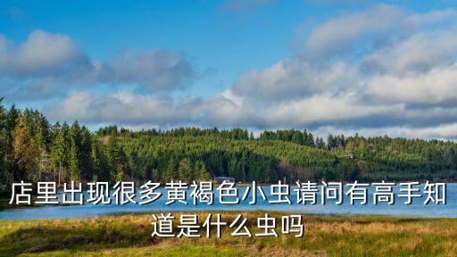 廣州黃褐色小蟲子，一小蟲約一厘米長體黃褐色有很多足尾部有叉形觸須常出