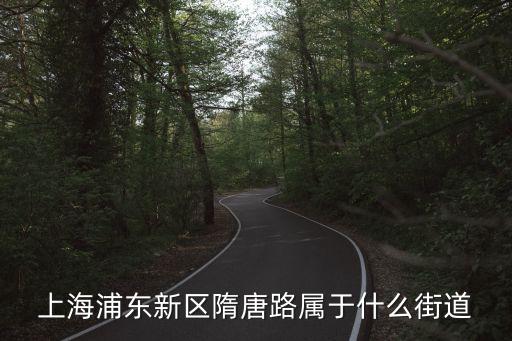 上海市隋唐路，上海市有條路叫做曹楊路請問這條路在上海的哪一個區謝謝