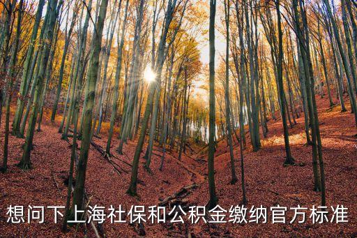 想問下上海社保和公積金繳納官方標準