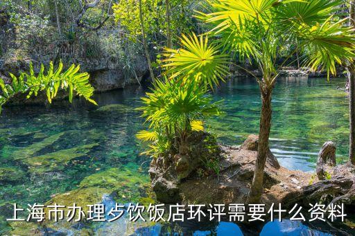 上海市環(huán)評辦理，上海玻璃幕墻環(huán)評報告在什么地方辦理