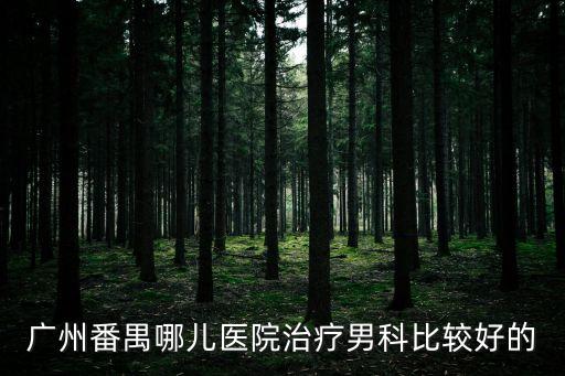 廣州武警圖，廣州番禺哪兒醫院治療男科比較好的