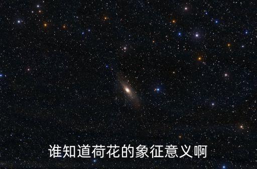 荷花象征，荷花象征什么