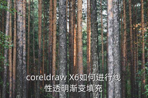 coreldraw X6如何進行線性透明漸變填充