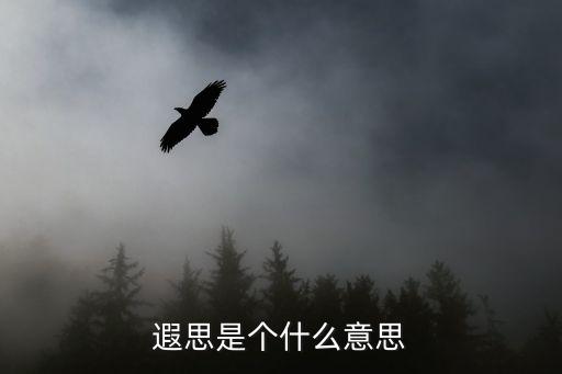 遐思的意思是什么，遐想是什么意思
