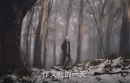 作文我的一天