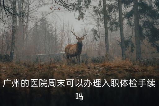 廣州的醫院周末可以辦理入職體檢手續嗎