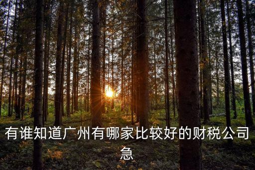 有誰(shuí)知道廣州有哪家比較好的財(cái)稅公司急